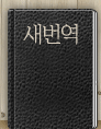 새번역